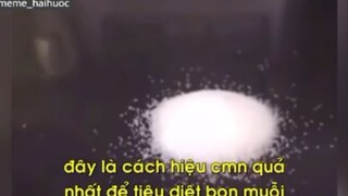 Cách bẫy muỗi hiệu quả