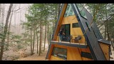 TINY HOUSE DESIGN IN THE MIDDLE OF THE FOREST