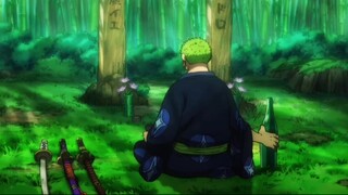 A man's romance - Zoro pays tribute to Pedro and the Kang family