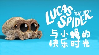 小蜘蛛卢卡斯最新集来啦，这次看看朋友小蝇有趣的一面