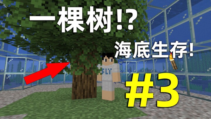 我的世界：开局一棵树如何在全是海的世界生存？第三期，水下呼吸
