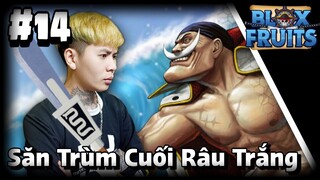 Săn Trùm Cuối SEA1 Râu Trắng Thức Tỉnh Đại Đao Bisento Lên V2 Trong | Blox Fruits #14.