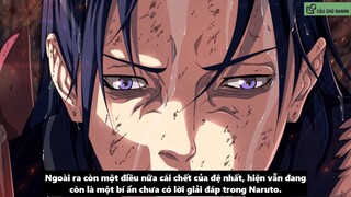 Cậu chủ Banini -  Review - Tất Tần Tật Sự Thật Về Đệ Nhất Hashirama #anime #schooltime