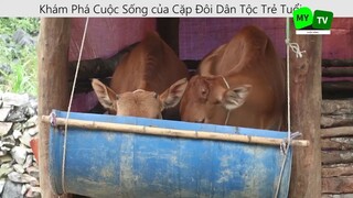 Khám Phá Cuộc Sống của Cặp Đôi Dân Tộc Trẻ Tuổi P5