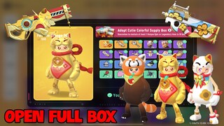 OPEN FULL Colorful Supply Box CAT - MEW