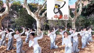 西安交通大学体操协会企鹅舞🐧梧桐道上梧桐叶，梧桐叶上企鹅舞🐧
