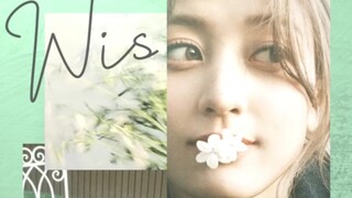 朴志效Solo专辑试听公开