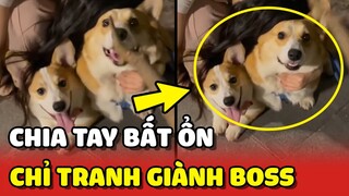 Cuộc CHIA TAY BẤT ỔN của cặp đôi chỉ TRANH GIÀNH BOSS 😂 | Yêu Lu