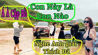 Koy Tatto phát hiện NgọcRambo cặp BỒ