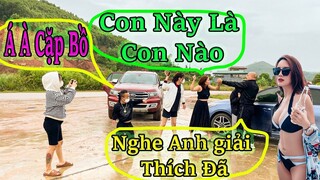 Koy Tatto phát hiện NgọcRambo cặp BỒ