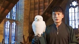 Chen Meijia: Lv Ziqiao, bisakah kamu menjadi guru juga? Lv Ziqiao: Tolong panggil aku Guru Jonathan 