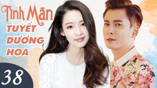 TÌNH MÃN TUYẾT DƯƠNG HOA - Tập 38