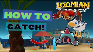 Loomian Legacy Beach Update 2022! HOW TO GET KANKI, LUMICA AND SNAGULL IN Loomian Legacy! | Roblox