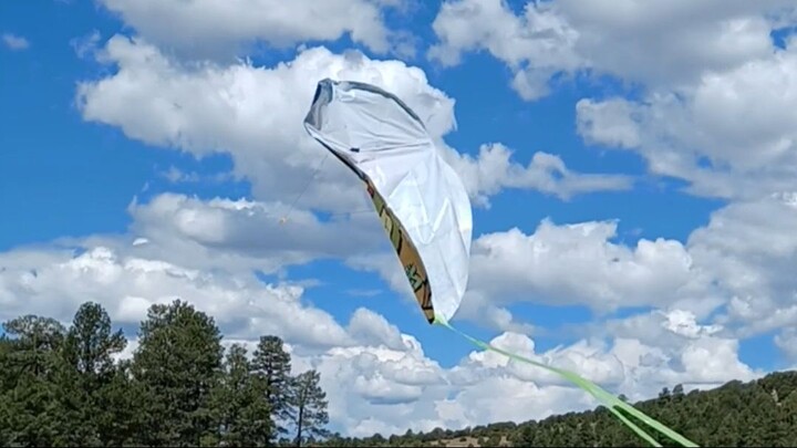 Flying a kite
