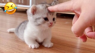 You Laugh You Lose 🤩 Funniest Animals 2023 😻🐶 Part 8