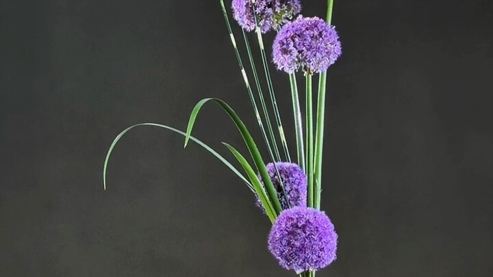 Five-Branch Scallion Blossom Chinese Floral Arrangement Immersive Tutorial #ExpeditionTeachesFloralA