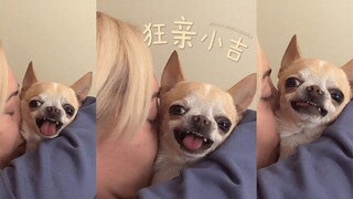 狂亲小吉 😚😚😚