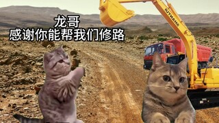Infrastructure maniac "slacking off"
