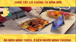 Mỹ thực là đây chứ đâu! #reviewfood#doanngon