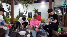 묘종이 생일파티🌿🌱