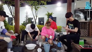 묘종이 생일파티🌿🌱