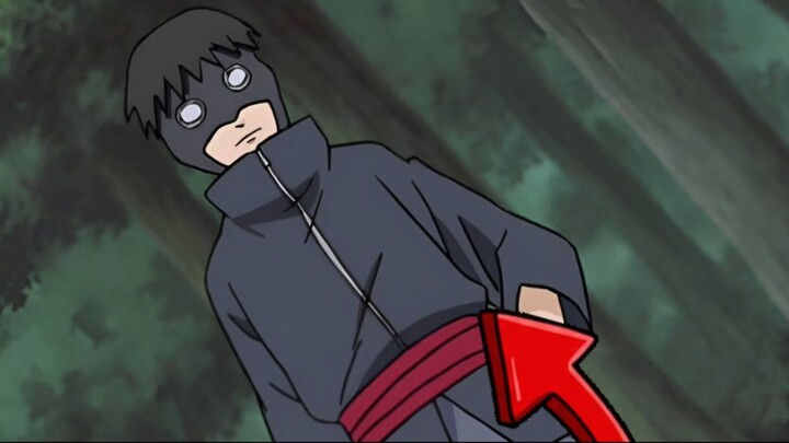 RACUN SERANGGA PALING BERBAHAYA