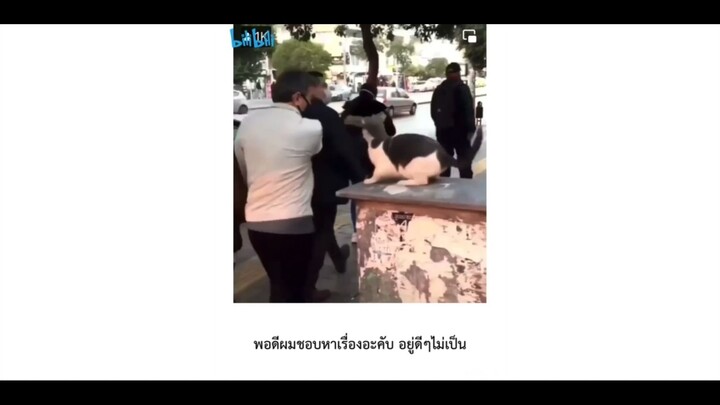 พอดีผมชอบหาเรื่องอ่ะครับ อยู่ดีๆไม่ได้