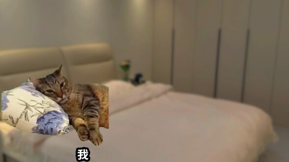 "Dệt Giấc Mơ" #猫meme小 Theater #猫MEMEStory #猫meme