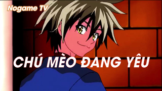 Black Cat (Short Ep 13) - Chú Mèo đang yêu #blackcat