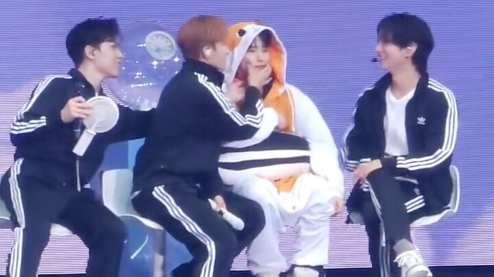 Rongrong the hamster, beloved by all the little brothers