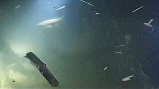Kur Xekai | Fishing in Nepal |