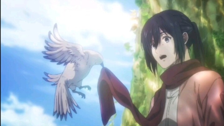 Mikasa seiyuu covered her face and cried after dubbing the final chapter