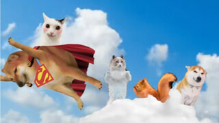 Thank you SuperCheems