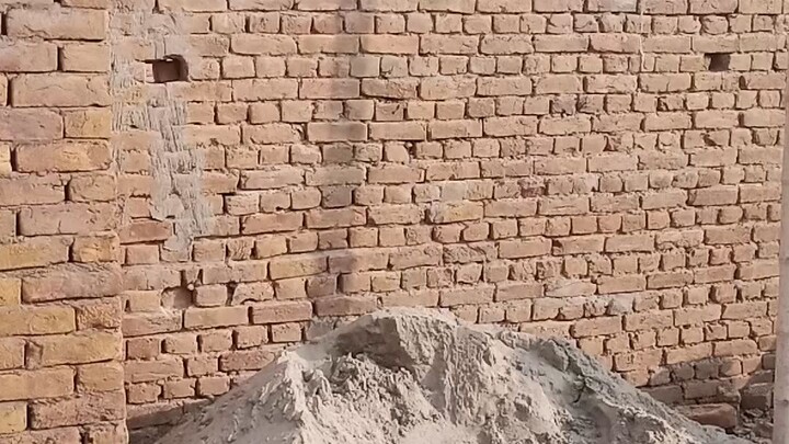 Rana g