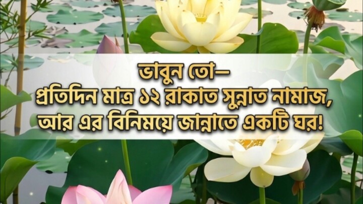 প্রতিদিন ১২ রাকাত সুন্নত নামাজ পড়লে জান্নাতে ঘর! 🕌 | সহিহ হাদিস #hadis #abutohamohammadadnan #nama