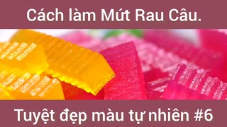 Cách làm mứt rau câu tuyệt đẹp màu tự nhiên phần 6