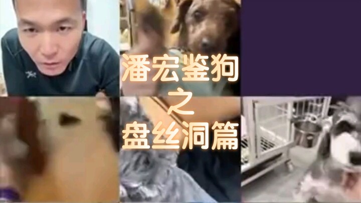 【วิดีโอย้อนหลังไลฟ์สดของพานหง】“ทำเอาพี่พานฉันยุ่งไปหมด”