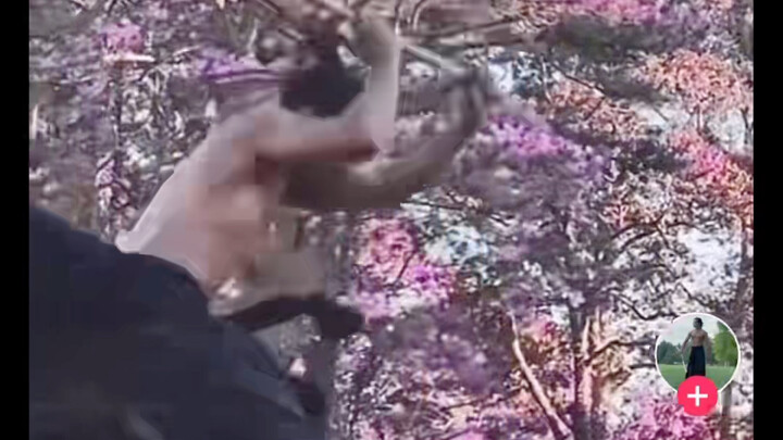 【TikTok】 Tây ngoại bắt chước chiêu thức trong Hắc Thần Thuyết: Tề Thiên Đại Thánh, quá ngầu luôn!!!