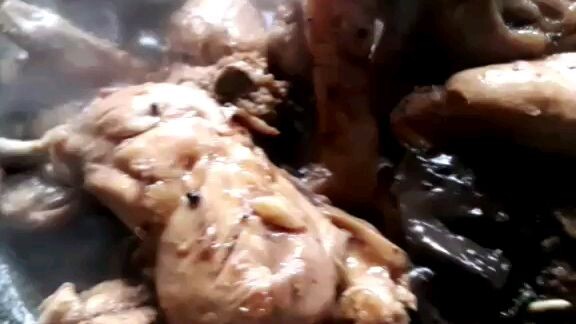 pag adubo ng manok