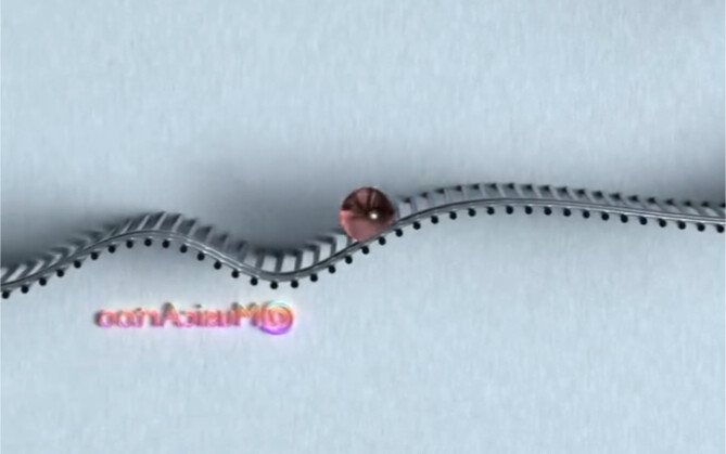 ฉันเป็นเด็กขี้แพ้