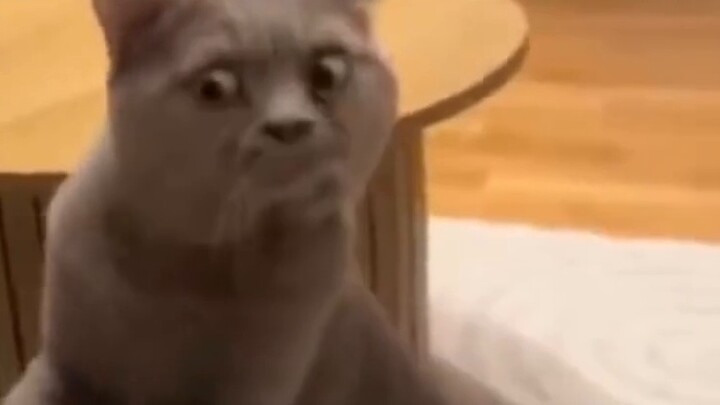 How smelly are human feet?