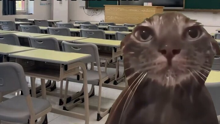 【Tambahan】Jika sekolah Anda melarang siswa menggunakan AC, bersikaplah seperti ini: