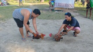 sparring binabae pata maAnad