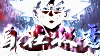 “这幅姿态，这份力量，没错，这便是完美的自在极易之力！”