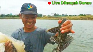 Menjala Ikan Ditengah Danau