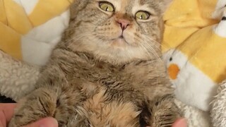 Holding your hand, let's hold hands together.