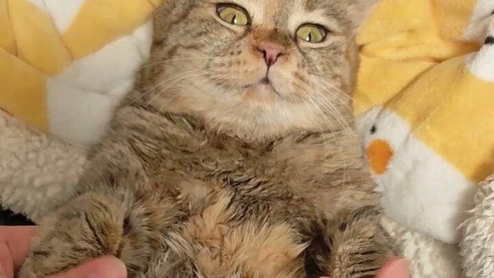 أمسك يدك، نمسك اليدين معًا