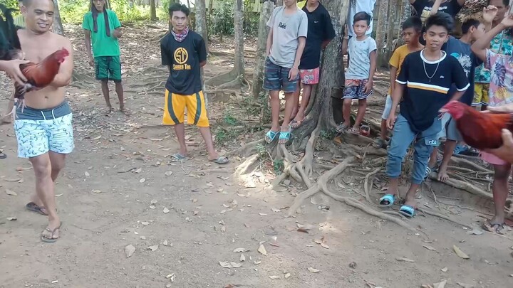 Tari-tari😂