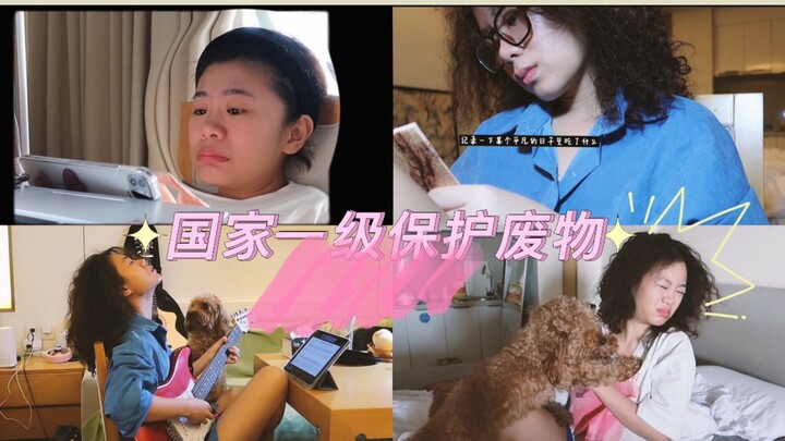 Spending a Day with Me and My Dog — I Got Touched by My Own Video! So Fun 【My Vlog】