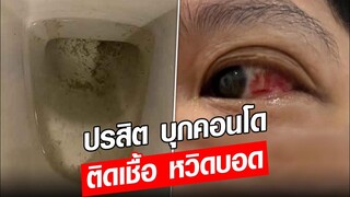 ปรสิต บุกคอนโด ติดเชื้อ หวิดบอด : Khaosod - ข่าวสด